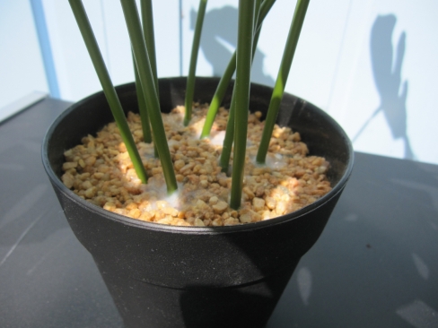 フェイクグリーン　観葉植物　造花　H500mm程度