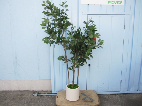 フェイクグリーン　観葉植物　H1700mm程度